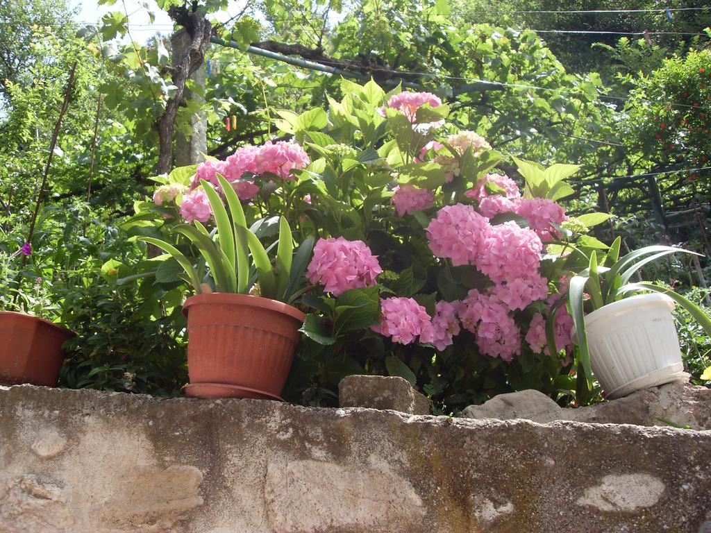 Guest House Rimski Most Melnik  Exterior photo